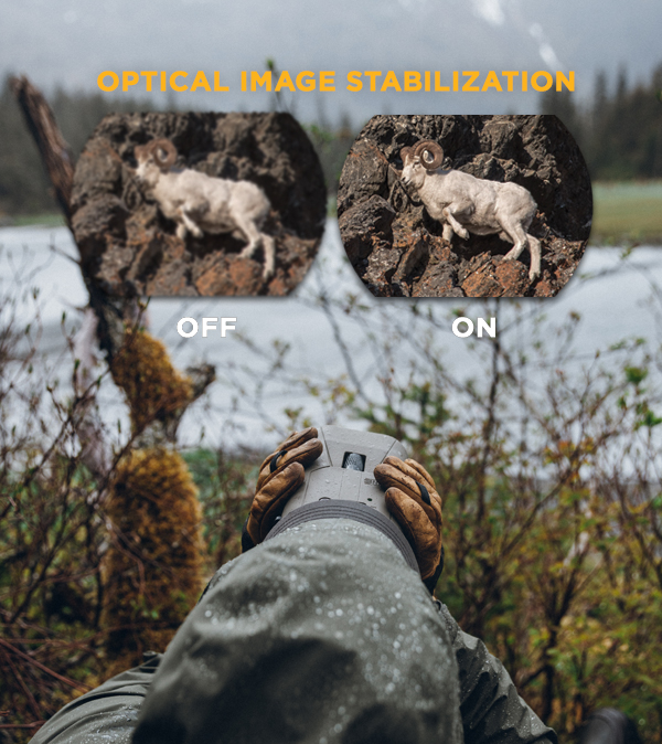 ZULU6 HDX Binoculars: Stability Equals Clarity