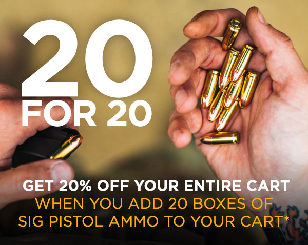 Get 20% Off Everything in Your Cart ️